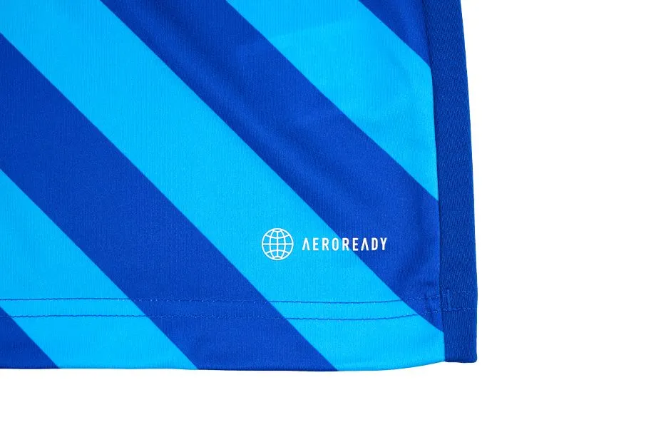 adidas Sport-Set T-shirt Kurze Hose Entrada 22 Gfx Jsy HF0116/HG6294