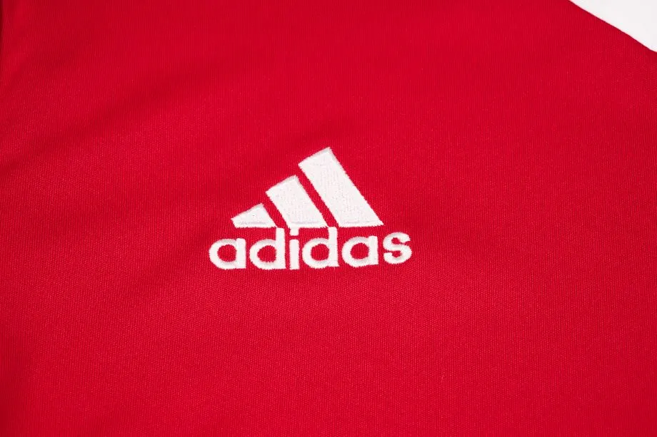 adidas Sport-Set T-shirt Kurze Hose Entrada 22 Jsy H61736/H61735