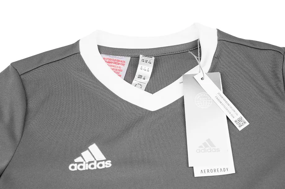 adidas Sport-Set T-shirt Kurze Hose Entrada 22 Jsy HE1574/H57505