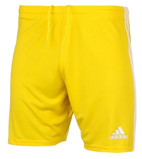 adidas Sport-Set T-shirt Kurze Hose Squadra 21 Jersey Short Sleeve GN5728/GN5772